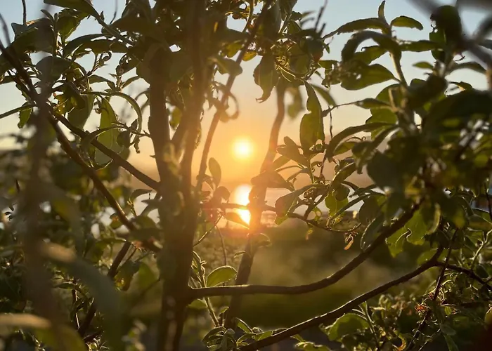 Oppmyre * Myre (Nordland)